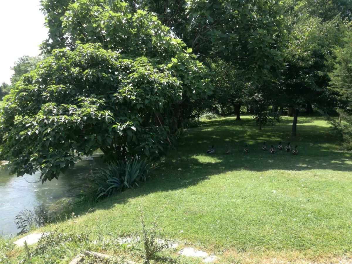 Rio Taglio Apartment Cervignano del Friuli Luaran gambar